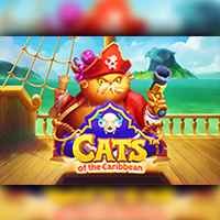 Cats Of The Caribbean